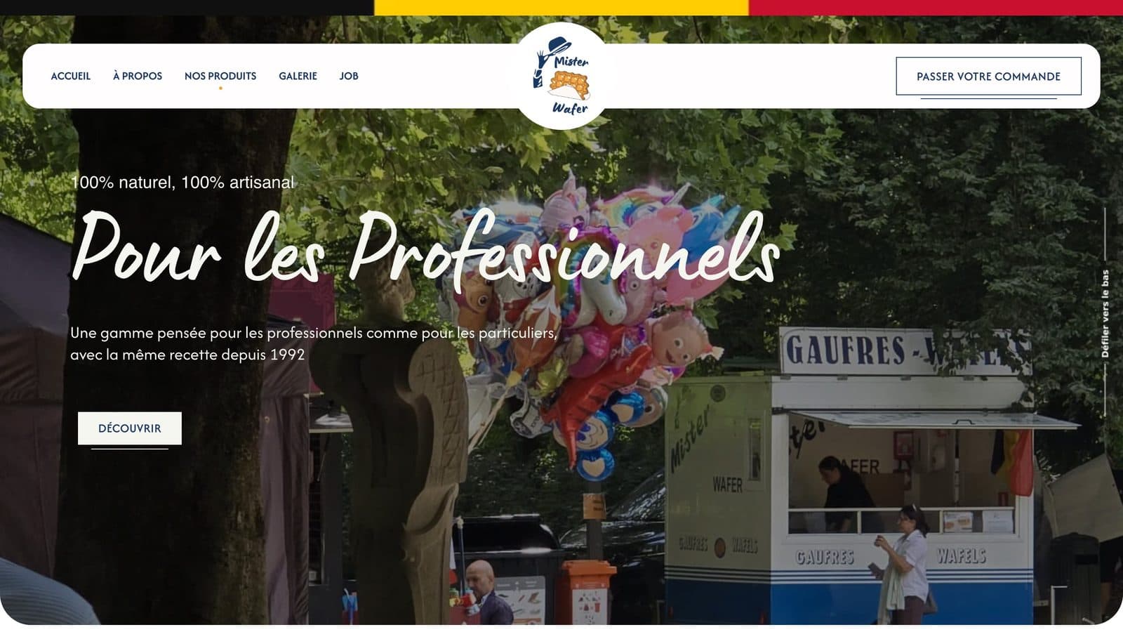 Page Pour les professionnels du site Mister Wafer